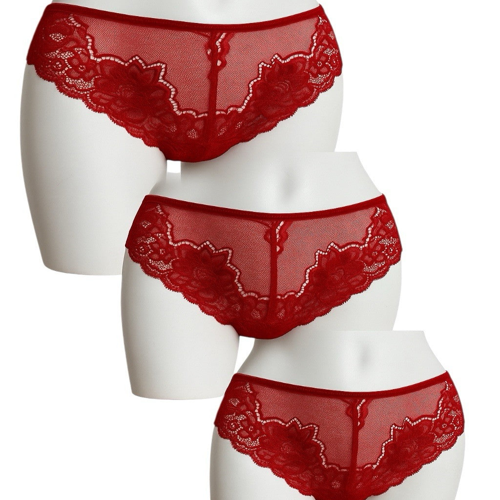 Red lace lingerie set on a white background